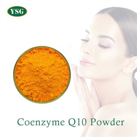 Coenzyme Q10 پاؤڈر بلک