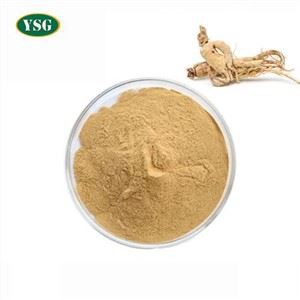 Panax Ginseng جڑ اقتباس