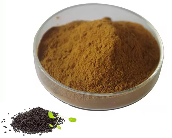 نائجیلا سیٹیوا سیڈ پاؤڈر