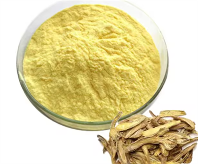 Scutellaria جڑ نکالنے